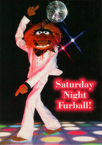 File:SaturdayNightFurball.jpg