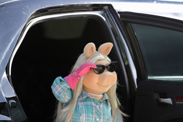 File:Walk the swine 01.jpg