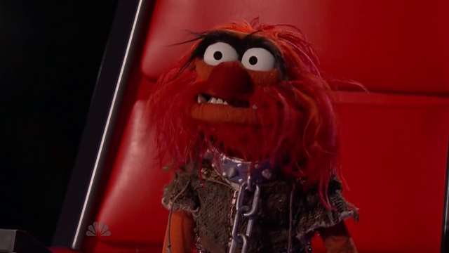File:TheVoice-S03E26-(2012-11-27)-06.png