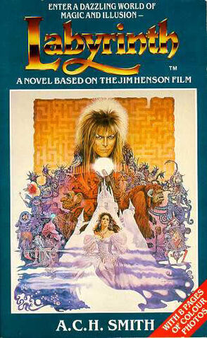 File:Book.labyrinth.Novel.jpg