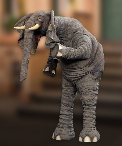 File:Horatio-elephant.jpg