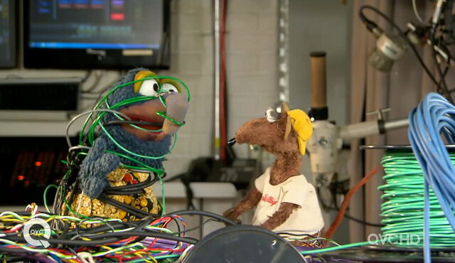 File:Qvc gonzo rizzo tied up.jpg