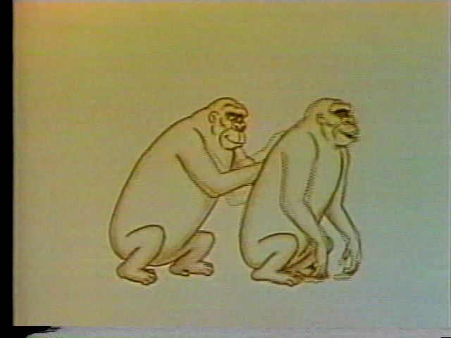 File:Vlcsnap-2016-03-11-11h59m53s107.png
