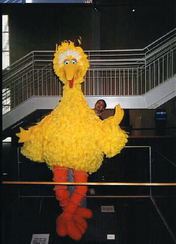 File:The-Art-of-the-Muppets-Exhibition-BigBird.jpg