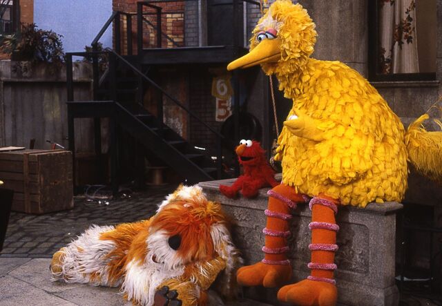 File:Barkley bird elmo.jpg