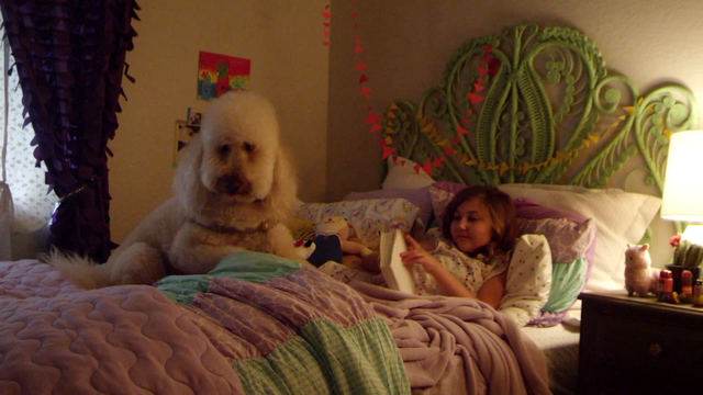 File:4732-DogFilm.png