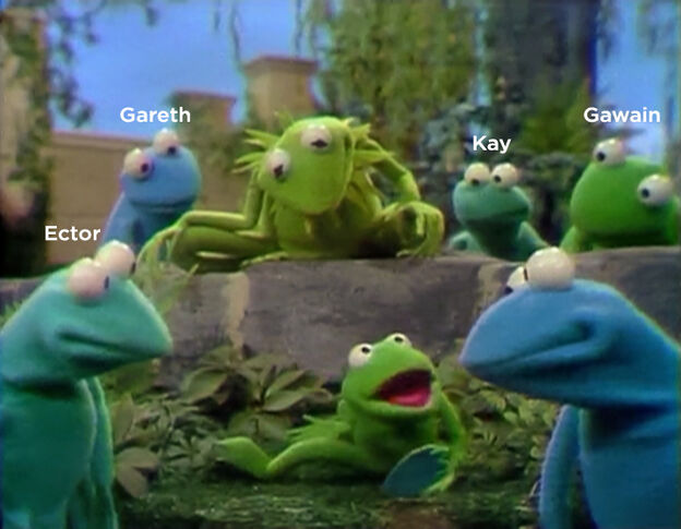 File:Morefrogs.jpg