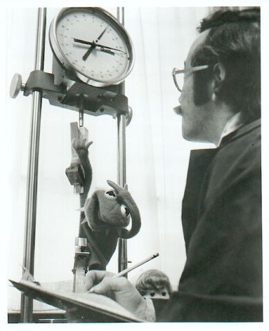 File:FisherPrice1980sPublicityKermitRack.jpg
