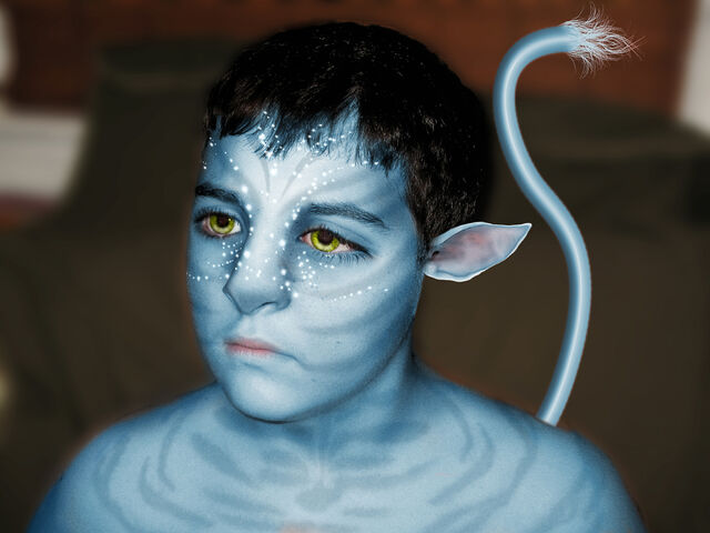 File:SmallMattnavi.jpg