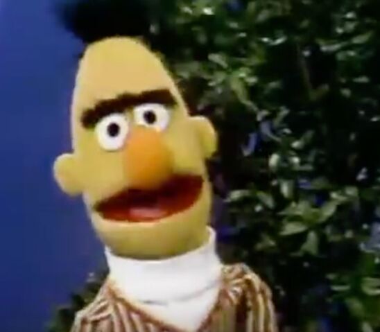 File:Bert season 8.jpeg