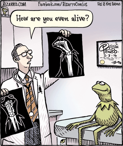 File:Bizarro20160307.gif