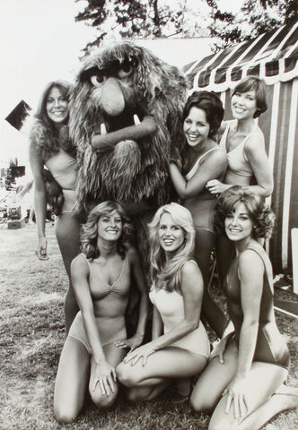 File:Sweetums-bogencounty.jpg