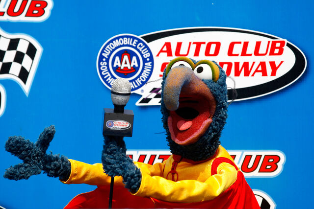 File:Nascar-Gonzo-(2014-03-23)-480203489R.jpg