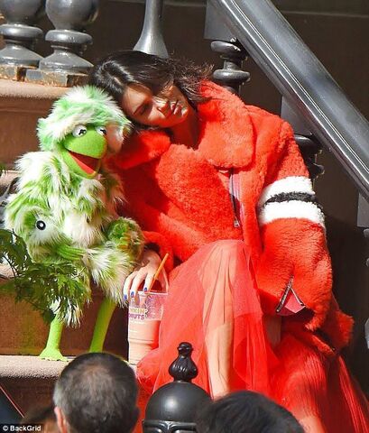 File:Kermit jenner.jpg