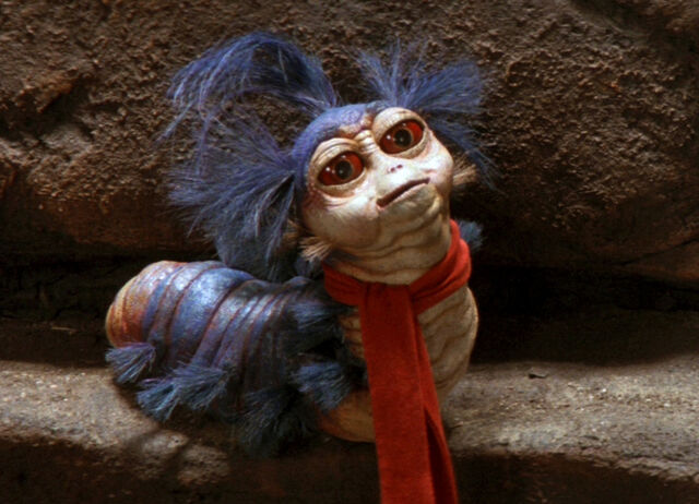 File:Wormlabyrinth.jpg