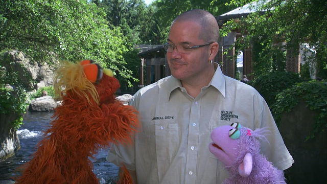 File:4307-Zoo01.png