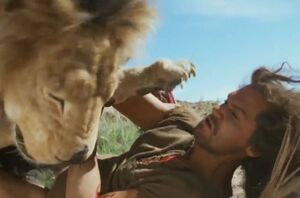 Samson-lion