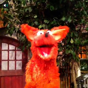 Vine fox say