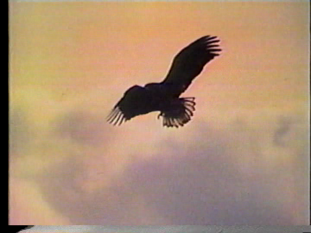File:Vlcsnap-2016-05-01-08h47m48s163.png