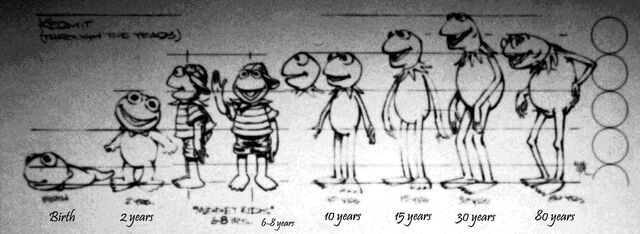 File:Kermit-through.the.years.jpg