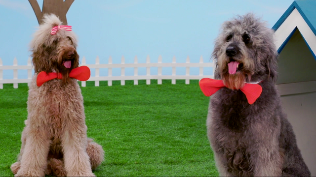 File:EWSharing-Noodle.png
