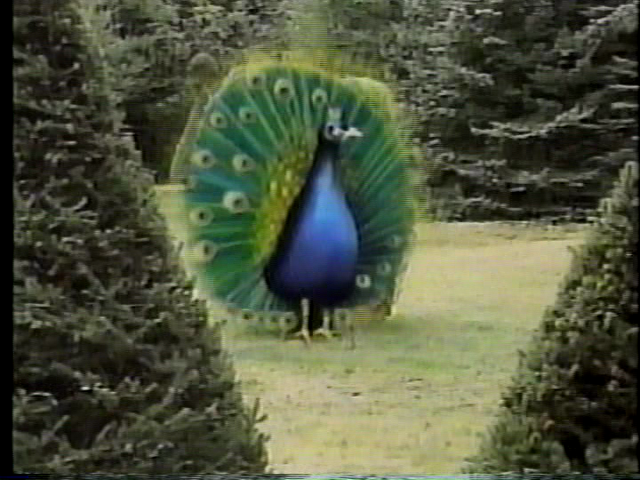 File:After scene 2 -.png