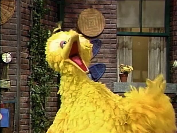 File:BBGrouch-4.jpg