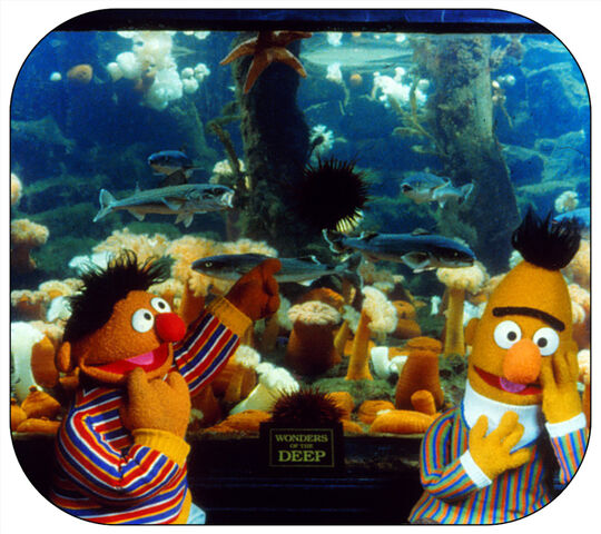 File:VMearthday-c3.jpg