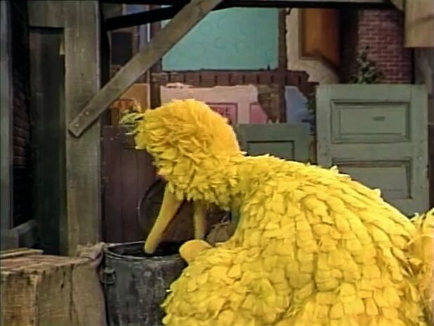 File:BBGrouch-5.jpg