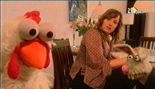 File:Stuntkip-question.jpg