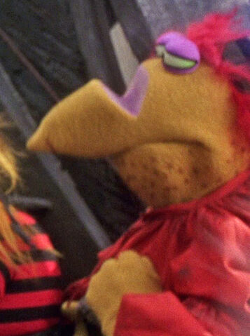 File:Wedge nosed pirate.jpg