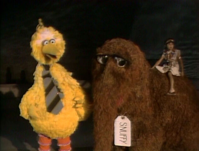 File:BigBirdSnuffyandPrinceSahu.jpg