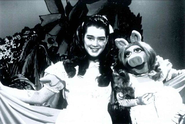 File:Brooke Shields04.jpg