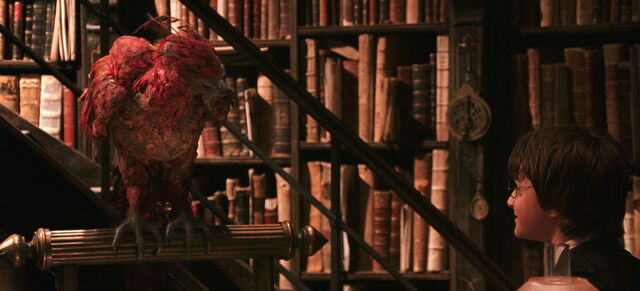 File:Chamber of secrets phoenix.jpg