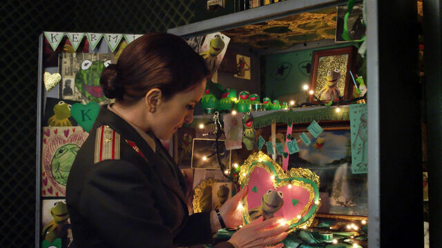 File:Nadya's shrine to Kermit.jpg