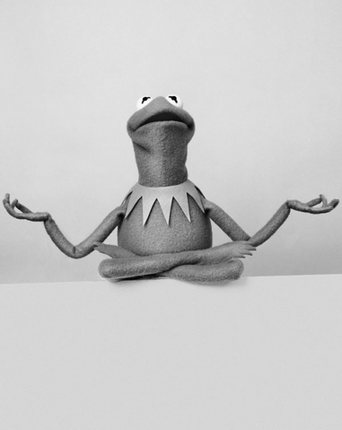 File:SüddeutscheZeitung-Kermit-06-MessageOfAdviceForGrownUps.png