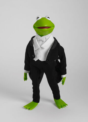 File:Flysoupkermit.jpg