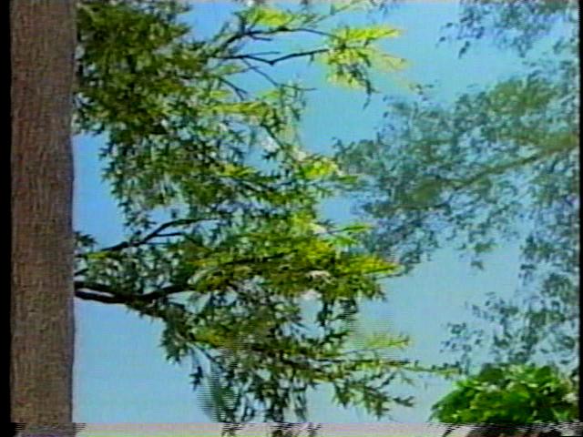 File:Vlcsnap-2016-04-27-15h44m09s146.png