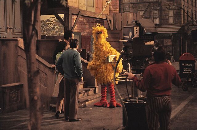 File:Bigbird early.jpg