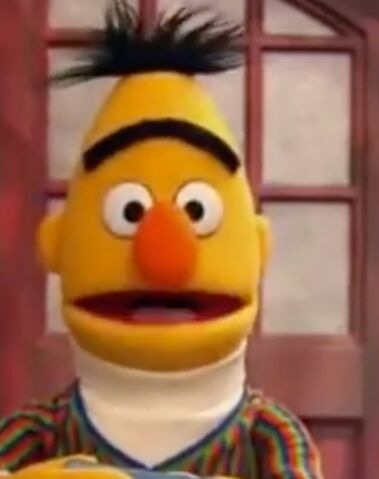 File:Bert 2013.jpeg