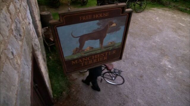 File:Let loose manchester terrier.jpg