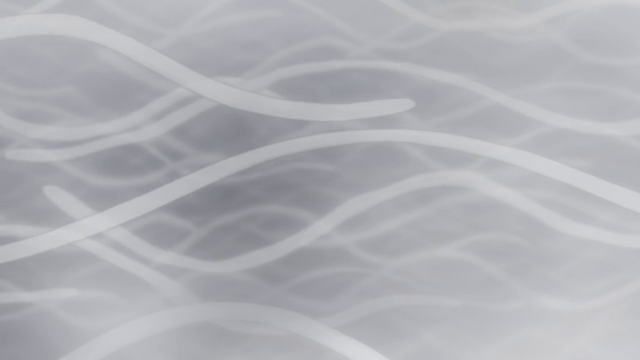 File:Vlcsnap-2013-05-14-16h48m04s133.png