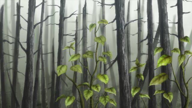 File:Mushishi 22-25.jpg