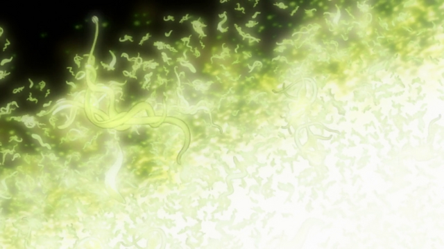 File:Vlcsnap-2013-05-20-13h16m17s249.png