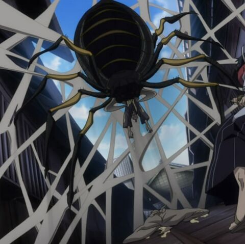 File:Roof Prison Spider.jpg