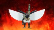 Anayama showing his wing