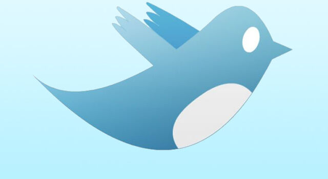 File:TwitterSlider.jpg