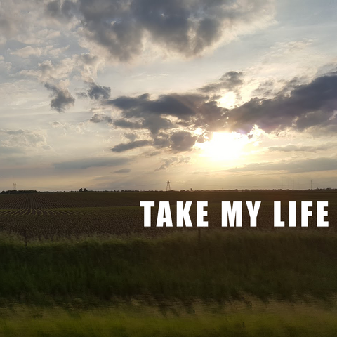 File:TakeMyLifeEdit.png