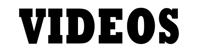 File:VIDEO.png
