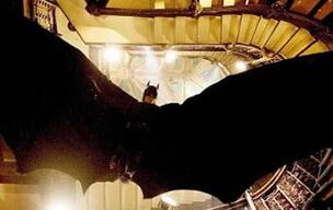 Bat